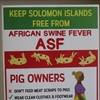 An awareness poster on ASF that has been placed around the country