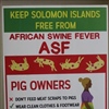 An awareness poster on ASF that has been placed around the country
