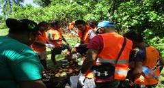 Biosecurity conducts CRB awareness and clean-up program in Renbel Province