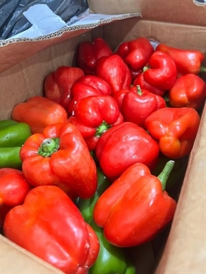 Biosecurity Officers Intercept Fresh Produce at Henderson International Airport