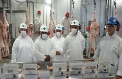 MAL officials Conducts Offshore Biosecurity Facility Assessment in Brazil to Strengthen National Protection for Pork, Beef, and Poultry Sectors.
